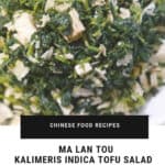 EASY TO MAKE Taiwanese MA LAN TOU RECIPE | KALIMERIS INDICA TOFU SALAD 馬蘭頭 on Nomss.com Food Blog