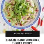 Quick and Easy to make Hand Shredded Turkey Recipe 芝麻手撕火雞. Low Carb Instant Pot Pressure cooker or oven roasted. Hand Pulled Poultry NOMSS.com Food Blog