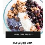BLUEBERRY chia seed pudding RECIPE