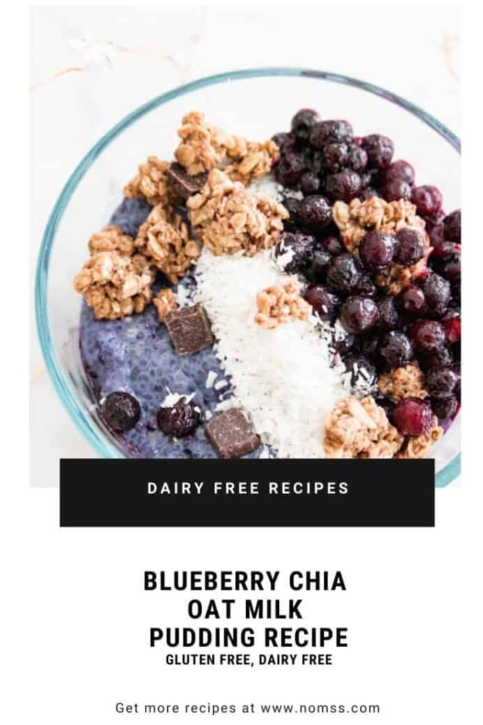 Blueberry Chia Oat Milk Pudding