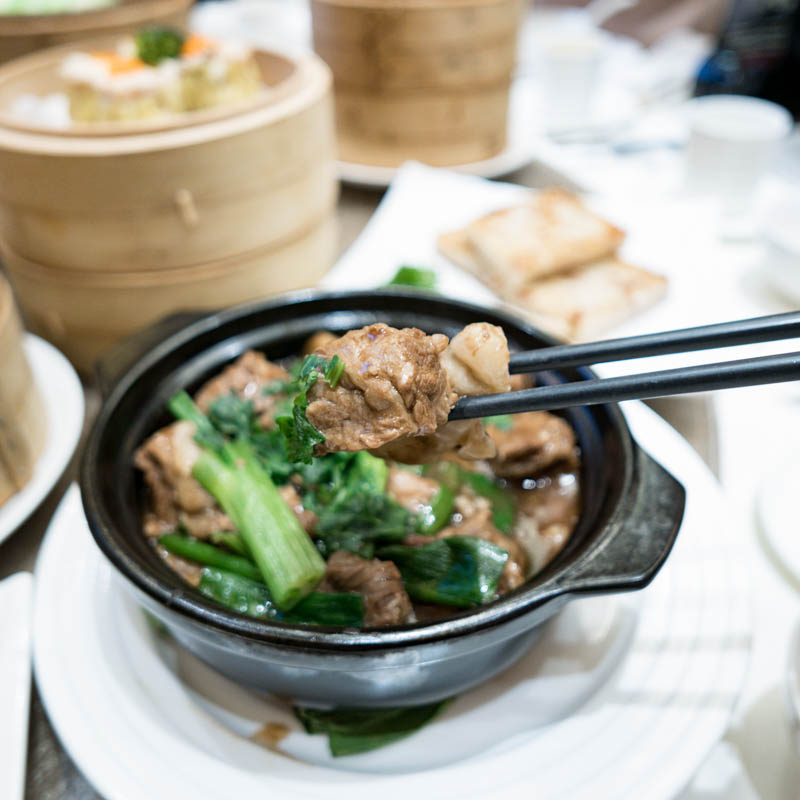 Yue Restaurant 鮑粵軒 Richmond | Singing Beef Brisket and Rice Rolls in Pot 啫啫牛腩腸粉煲
