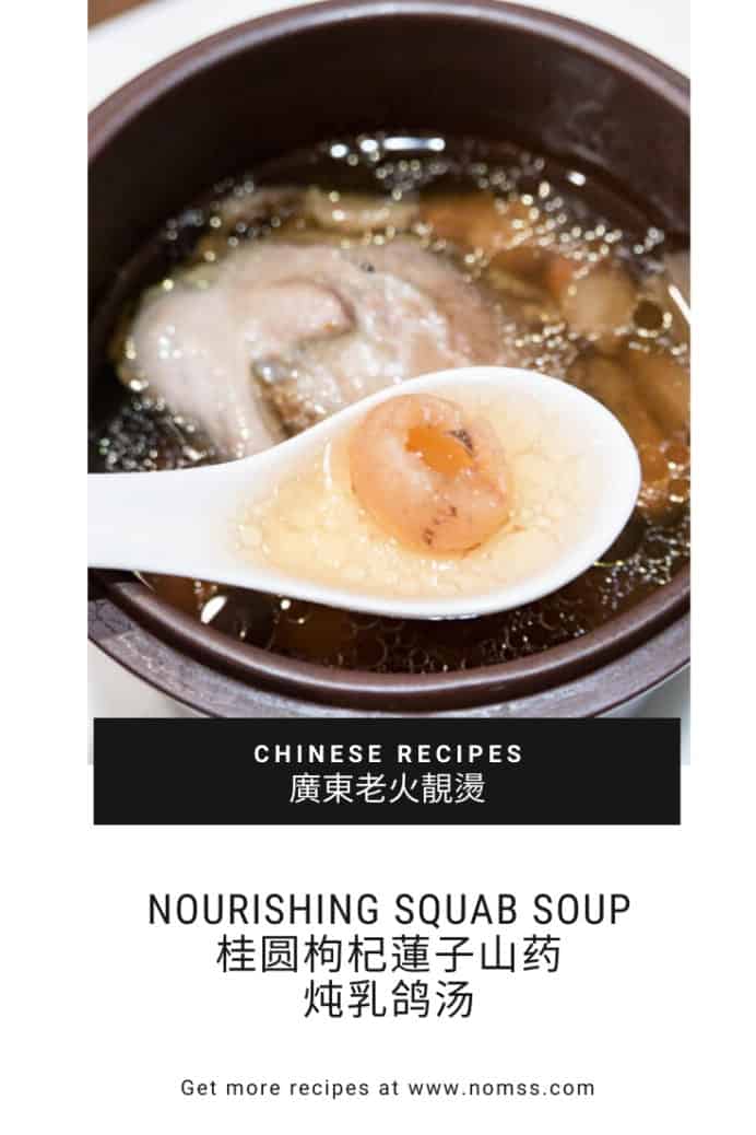 Nourishing Squab Soup 桂圆枸杞蓮子淮山炖乳鸽汤