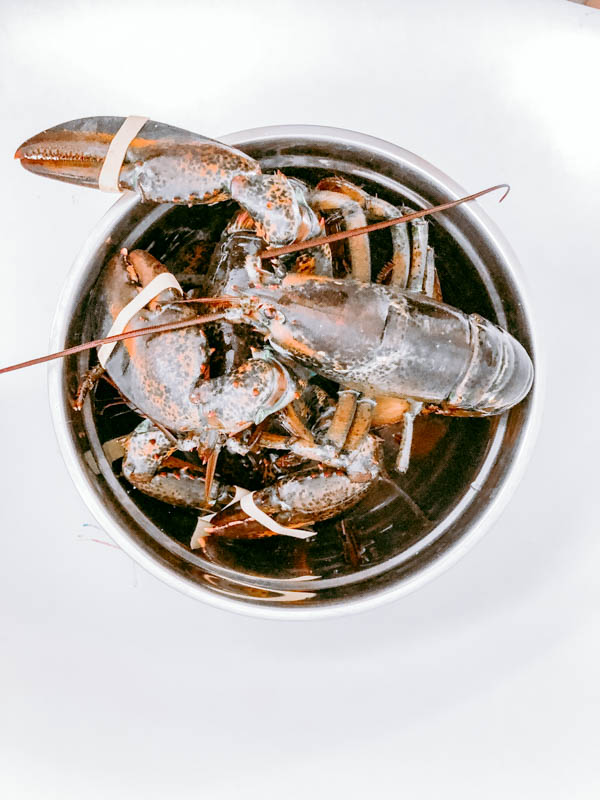 How To Make Lobster Stock