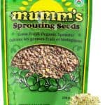 spring mix organic sprout seed kit Broccoli, Radish, Alfalfa and Red Clover