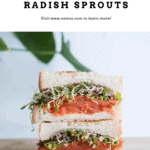 SMOKED SALMON SPROUTS SANDWICH