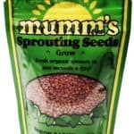 radish sprouting seeds