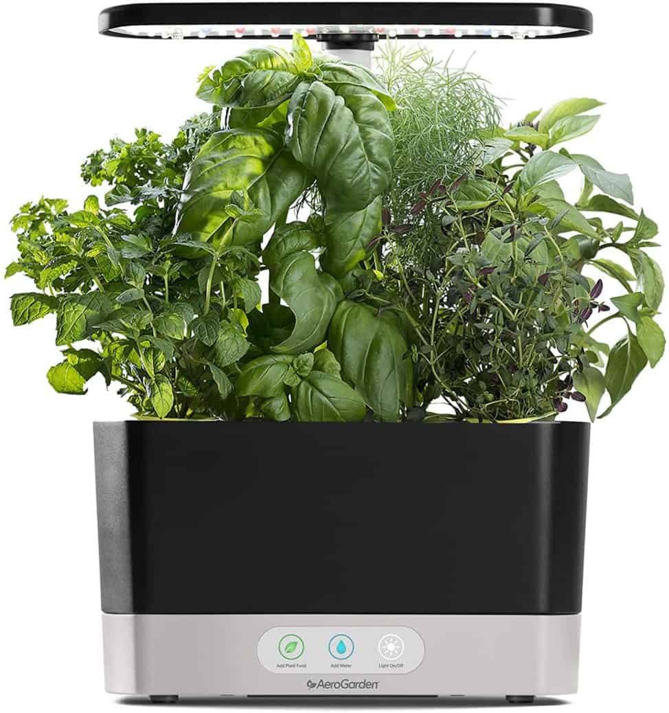Indoor Herb Growing Kit https://amzn.to/3mGHknu