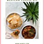Plant-Based Chili Con Queso Mexican Cheese Dip