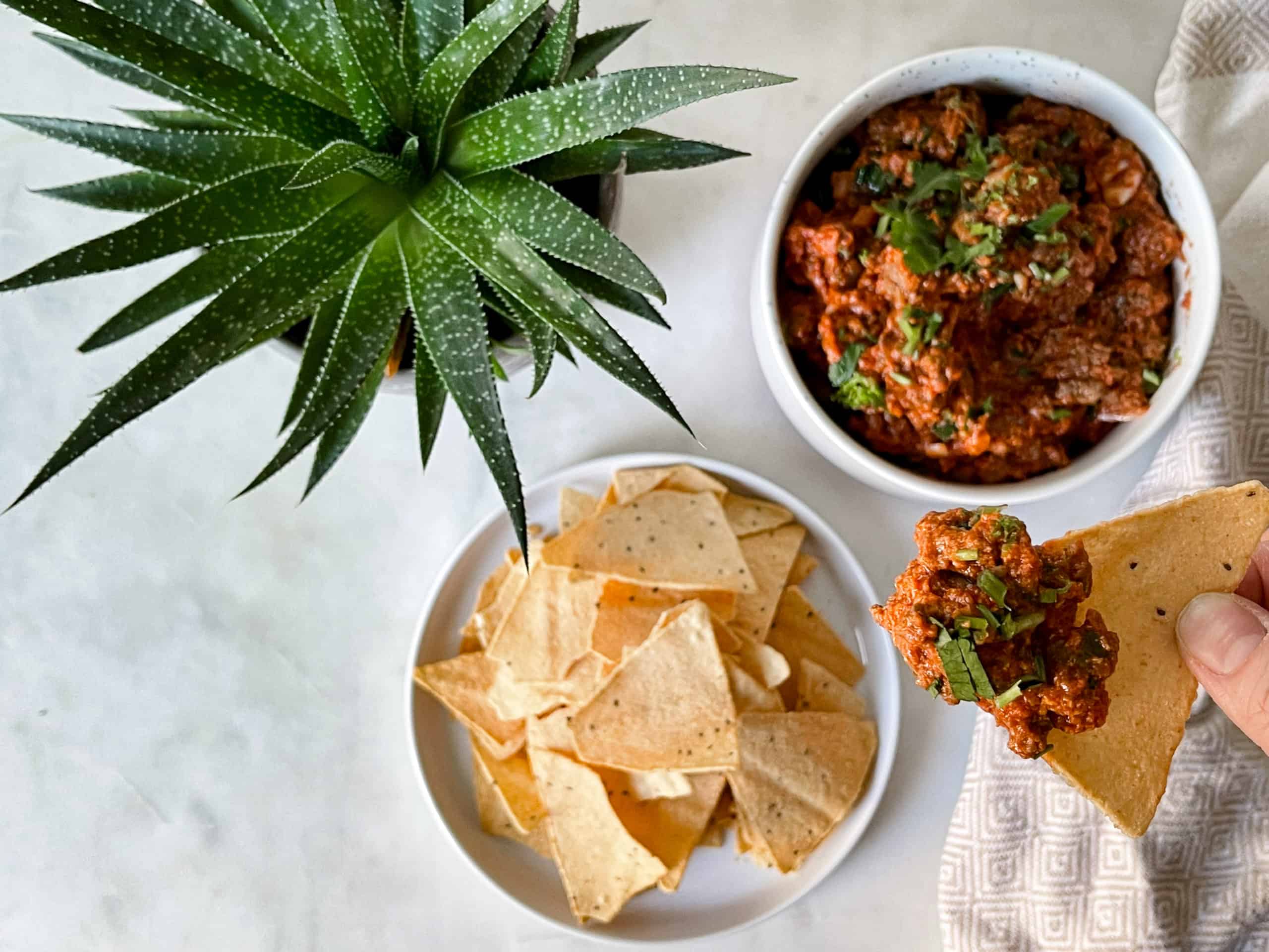 PLANT-BASED CHILI CON QUESO 'MEXICAN CHEESE DIP' - Nomss.com