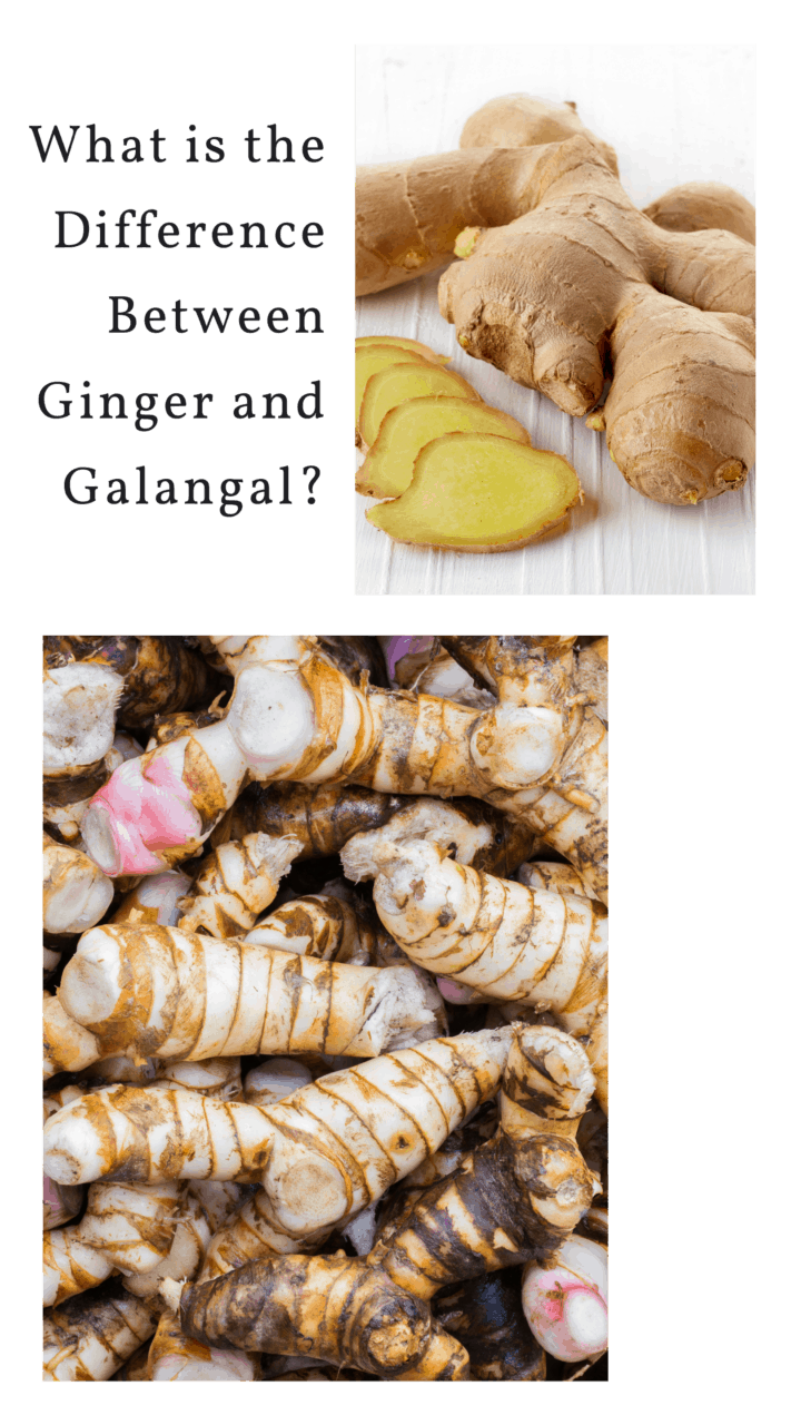 What is the Difference Between Ginger and Galangal