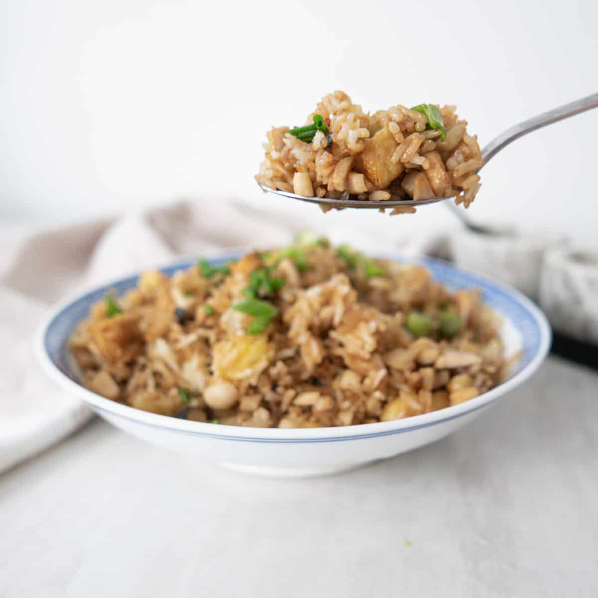 Easy Vegan Fried Rice with Mushrooms 生炒牛肉飯 (素食)