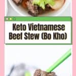 traditional beef stew Vietnamese style