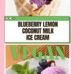 VEGAN blueberry lemon zest coconut milk ice cream NOMSS