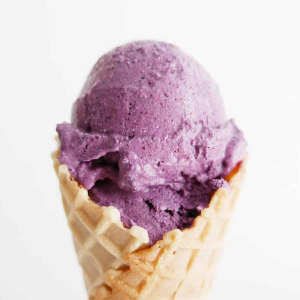 Vegan Blueberry Lemon Zest Coconut Milk Ice Cream (Gluten-Free)