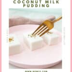 Chinese Coconut Milk Pudding (vegan)