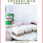 Chinese Milo Coconut Milk Pudding (vegan)