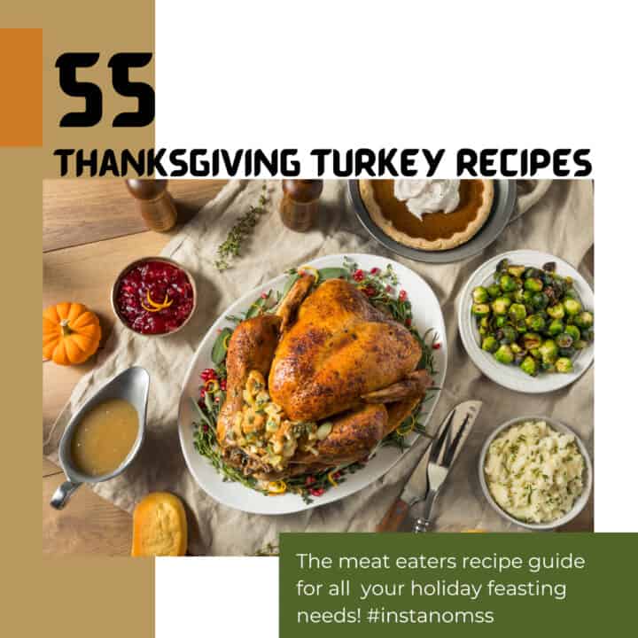 BEST Thanksgiving Turkey Recipes