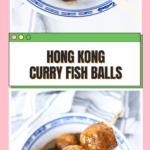 STREET STYLE HONG KONG CURRY FISH BALLS 港式咖哩魚蛋 (街頭小食)