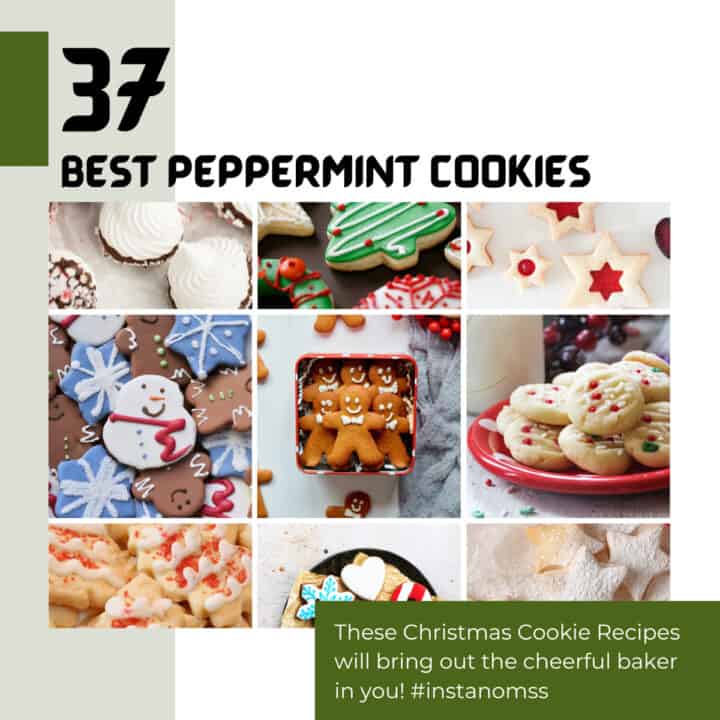 37 Best Christmas Cookie Recipes with Peppermint