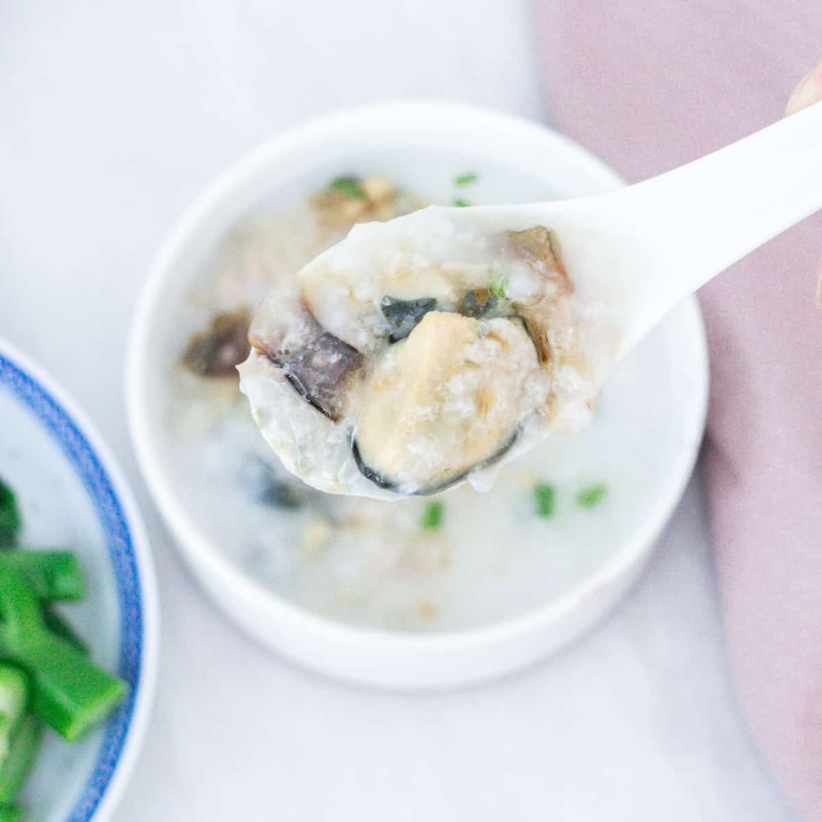 皮蛋瘦肉粥 Instant Pot Salted Pork and Century Egg Congee Recipe