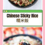 Chinese Sticky Rice 糯米飯 Glutinous Sweet Rice Nuo Mi Fan