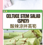 Best Chinese Spicy Celtuce Stem Salad Recipe 酸辣涼拌萵筍 WoSun Woju