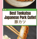 Best Tonkatsu Japanese Pork Cutlet 豚カツ