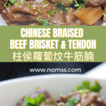 Chinese Braised Beef Brisket & Tendon Recipe 柱侯蘿蔔炆牛筋腩