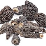 Dried Wild Morel Mushrooms for Cooking