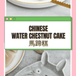 Best Water Chestnut Cake 馬蹄糕