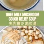 Tiger Milk Mushroom Lung Nourishing Soup 虎乳靈芝潤肺湯