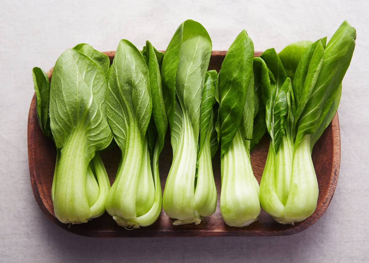 Baby bok choy chinese autumn cooling vegetables traditional medicine guid