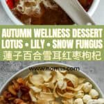 Autumn dryness relief TCM lotus seed lily snow fungus dessert in ceramic bowl for seasonal wellness