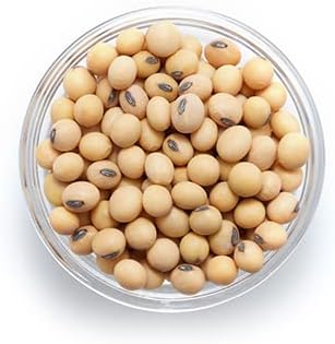 dried yellow soybeans