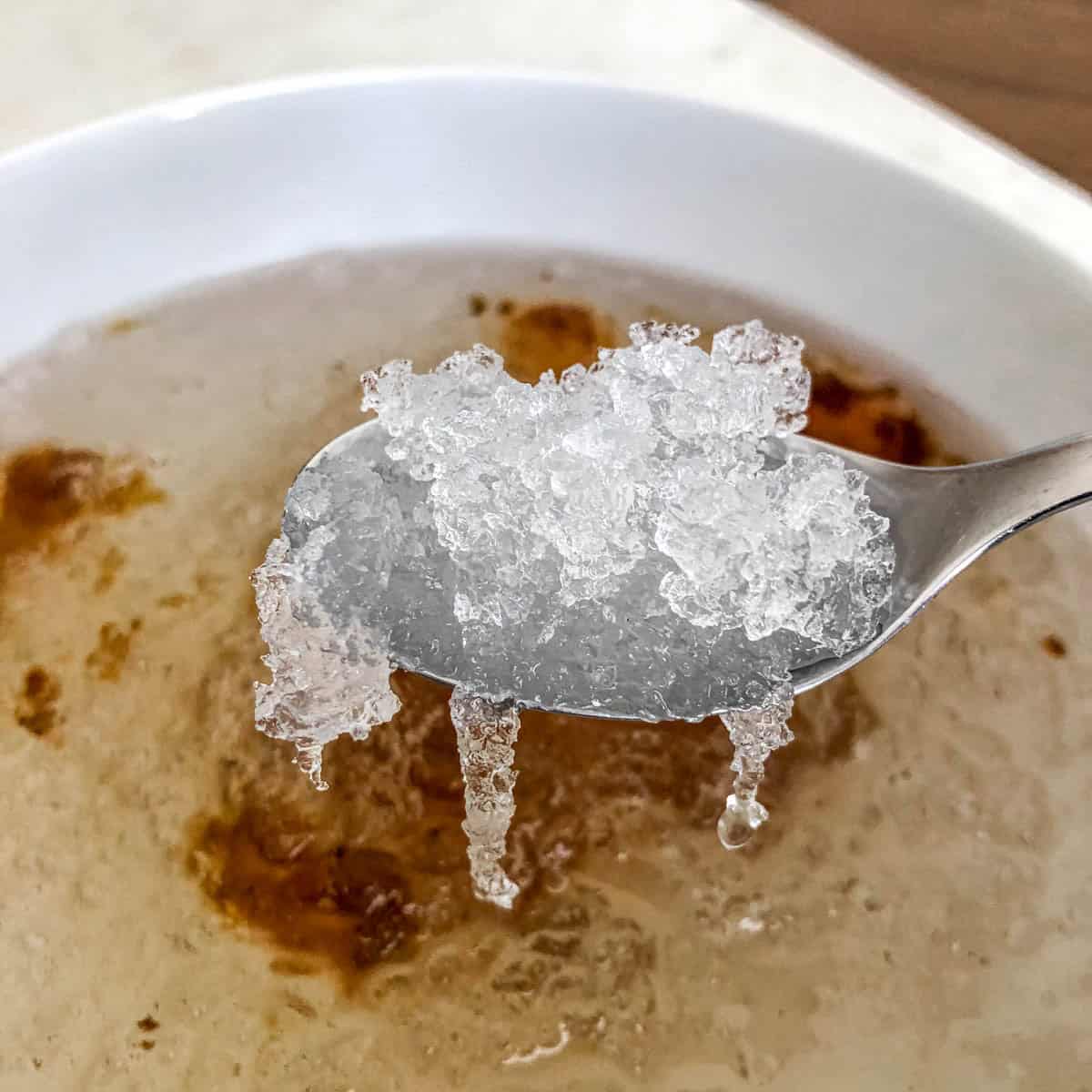 Soaked SNOW NEST SWALLOW expanded to translucent jelly-like pieces in bowl