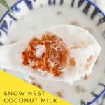 Overhead view of snow nest coconut milk soup with spoon showing gelatinous texture