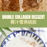 椰汁雪燕桃胶糖水 SNOW NEST PEACH GUM SOUP TCM Beauty Recipe