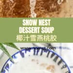 椰汁雪燕桃胶糖水 SNOW NEST PEACH GUM SOUP TCM Beauty Recipe