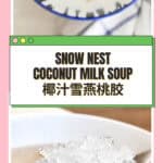 Snow nest and peach gum soaking in water showing expansion process