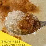 Overhead view of snow nest coconut milk soup with spoon showing gelatinous texture