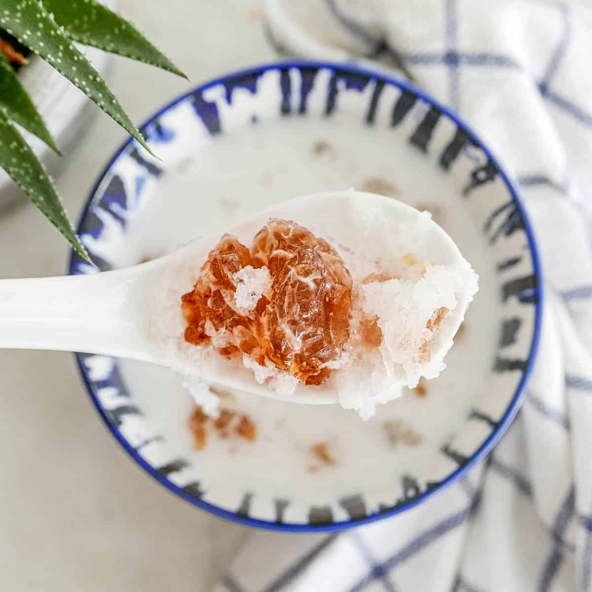 CLOSE UP Chilled coconut milk dessert soup with bouncy snow nest and peach gum