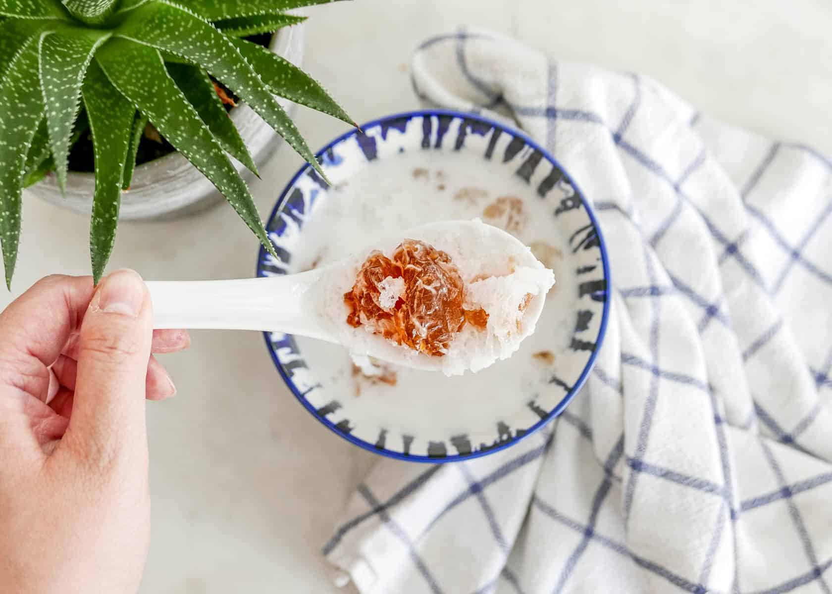 Finished snow nest coconut milk peach gum soup showing creamy texture