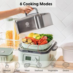 BUYDEEM electric Food Steamer for Cooking