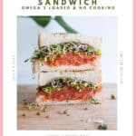 Open face smoked salmon sandwich topped with sprouts, red onion and capers