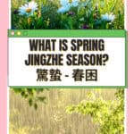 Pinterest pin for What Is Spring Jingzhe Season 驚蟄 spring dampness TCM guide with rainy spring flowers and greenery, nomss.com