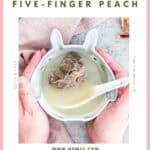Cantonese spring dampness spleen soup 健脾去濕湯 with pork bones and five-finger peach served in white ceramic bowl