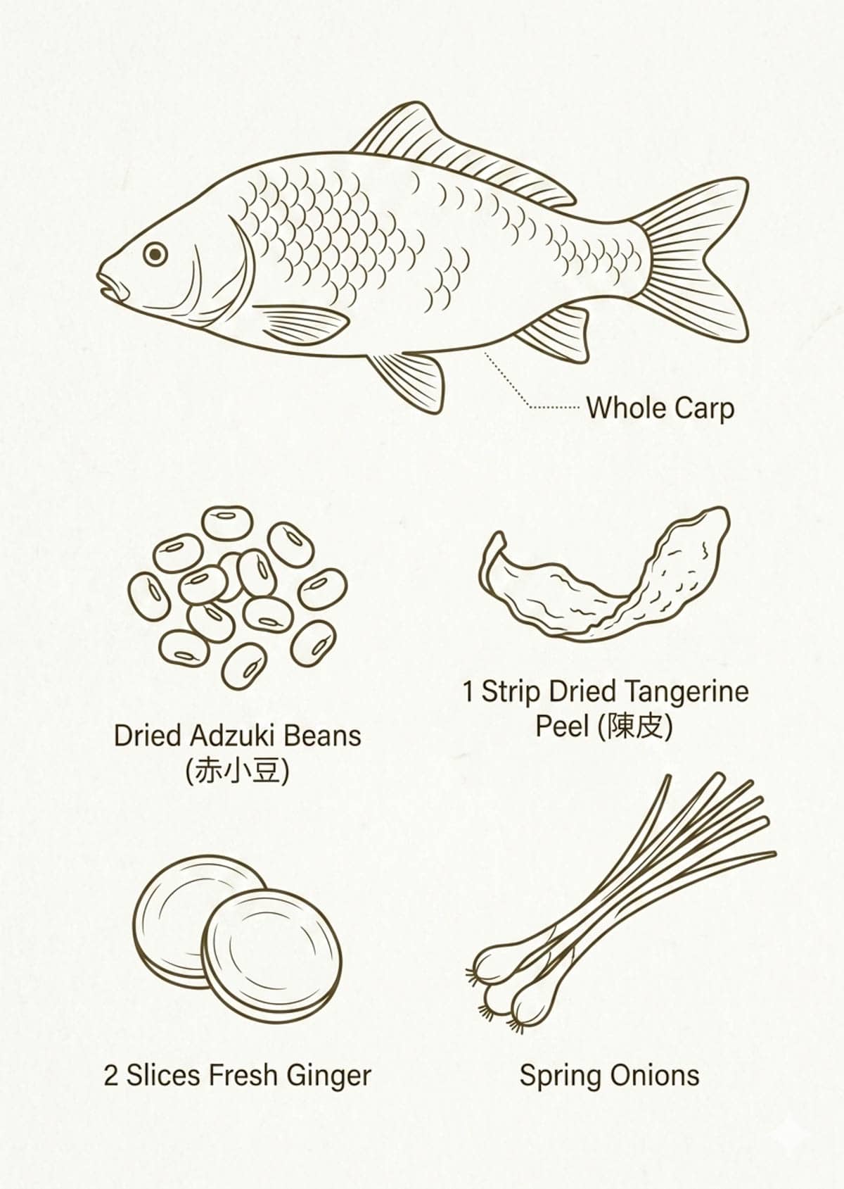 Dried adzuki beans 赤小豆, whole fresh carp, dried tangerine peel and ginger slices on a wooden board, ingredients for TCM red bean fish soup nomss.com