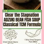 TCM adzuki bean and carp soup 赤小豆鲤鱼汤 garnished with spring onion in a clay pot, The Best Thing cdrama red bean medicinal food recipe nomss.com