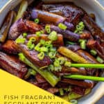 Doubanjiang sauce cooked spicy eggplant stir fry