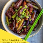Doubanjiang sauce cooked spicy eggplant stir fry